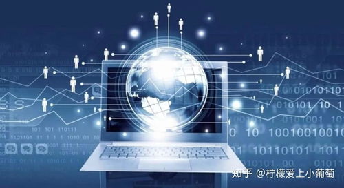 網(wǎng)絡(luò)技術(shù)服務(wù)項目的雙重維度評估 需求端與產(chǎn)品端的精準(zhǔn)對接